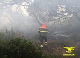 incendio alghero bosa sardegna