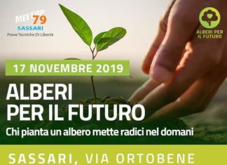 ecologia sassari movimento 5 stelle aberi futuro maurilio murru Meetup79 Gianroberto Casaleggio