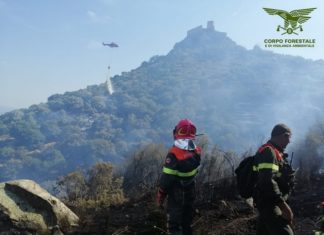 incendi sardegna 2020