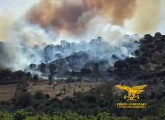 incendi sardegna 2020