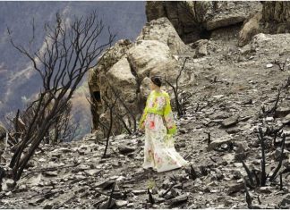 incendi sardegna cuglieri