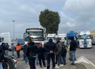 manifestazioni sardegna