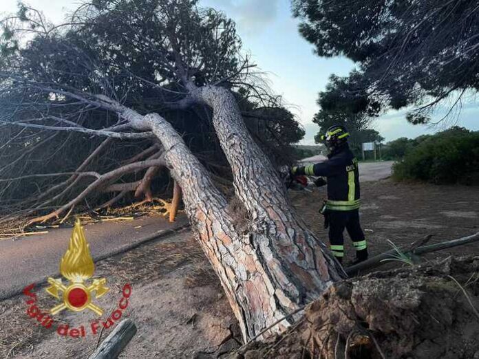 vigili del fuoco sardegna